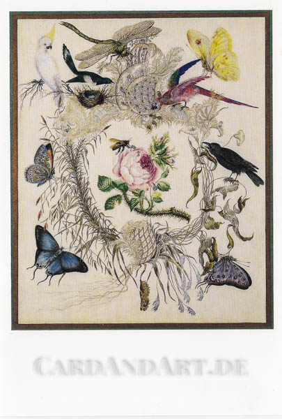 T-chter-d-B-v-Arnim-Biene-und-Rose-Doppelkarte