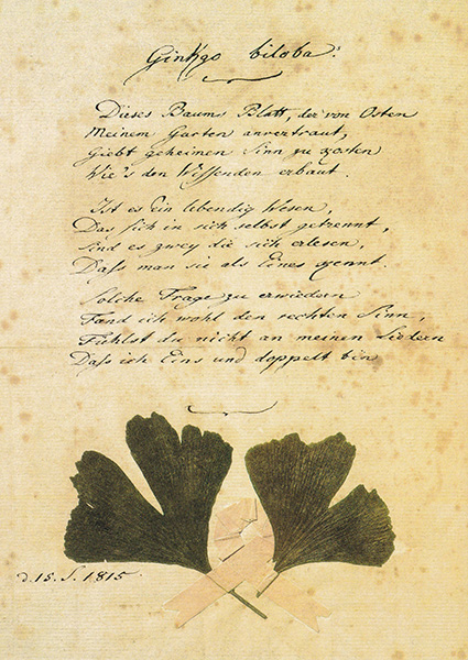 Goethe, J.W., Gedicht "Ginkgo biloba" -  Postkarte