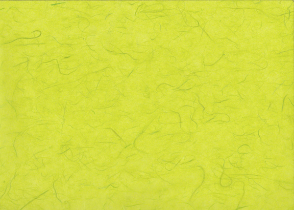 Maulbeerseide limone - Geschenkpapier