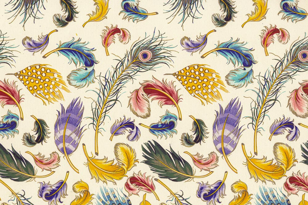 Bunte-Federn-Geschenkpapier-mit-GoldfarbendruckOMkiMfRaBgubz Bunte Federn - Geschenkpapier mit goldfarbenem Druck