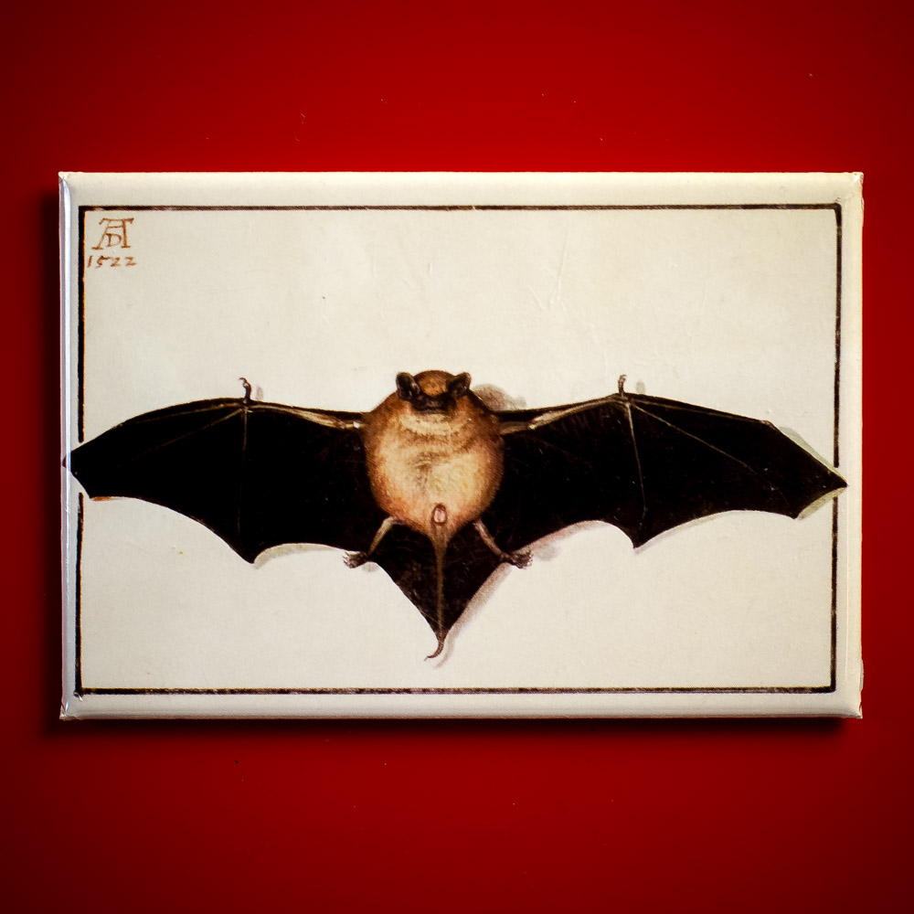 Duerer-Albrecht-Fledermaus-Magnet