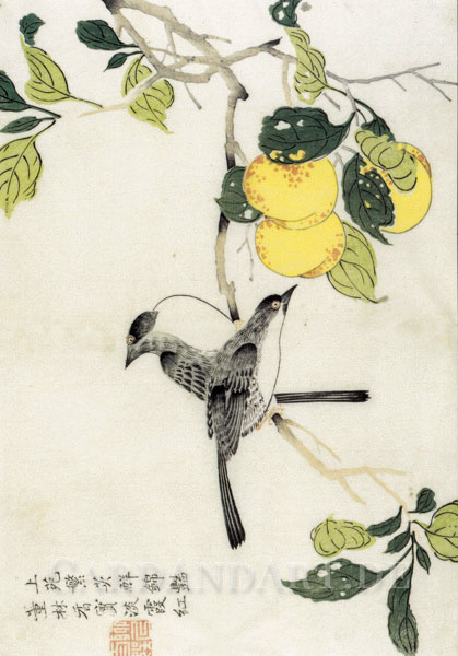 Jardin-du-grain-de-moutarde-PK