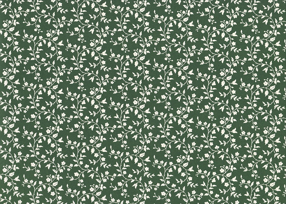 Filigrane-Ranken-gr-n-weiss-Geschenkpapier Filigrane Ranken - grün - weiß - Carta Varese Geschenkpapier