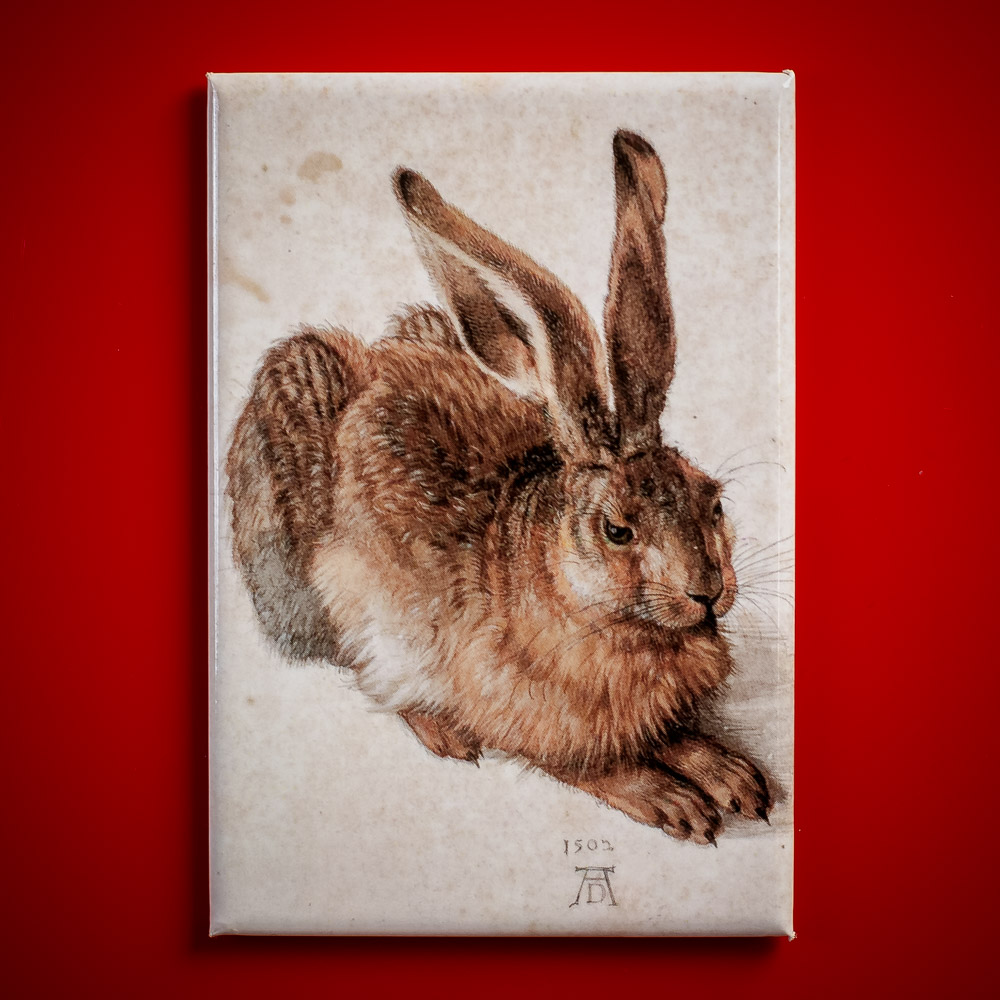 Dürer, Albrecht - Junger Feldhase - Magnet