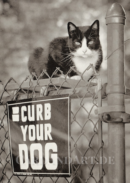 Curb-Your-Dog-Postkarte Curb Your Dog - Postkarte
