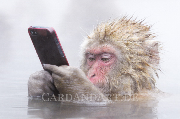 Nachahmer-Affe-Handy-PostkarteJb7pfDVMFtFQG