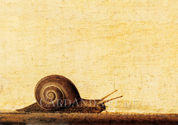 Francesco-del-Cossa-Schnecke-Postkarte