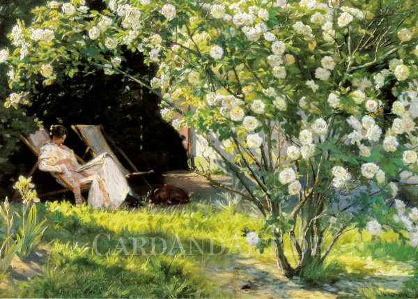 Kroyer-Rosengarten-Postkartepnk8AMdxwTTHZ