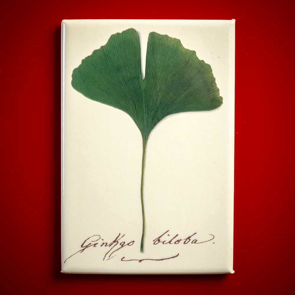 Goethe J.W. Ginkgo biloba Handschrift - Magnet