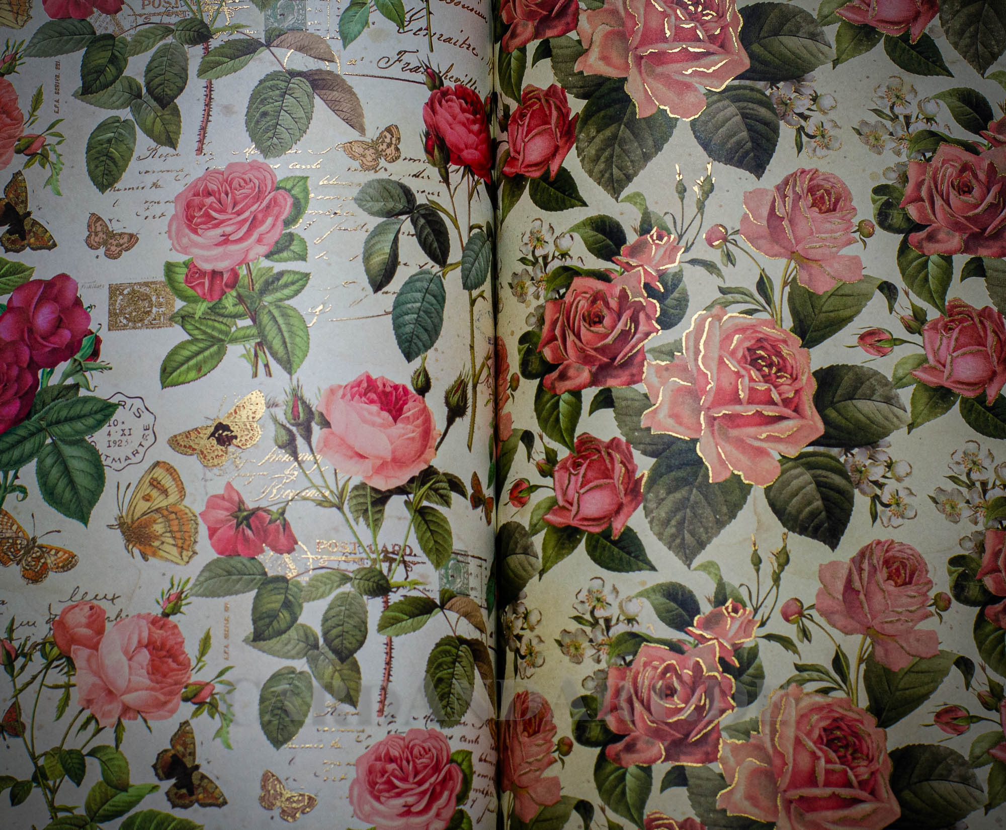 Geschenkpapier_Buch_Botanica_Innenseite_1QoF3y27Pb3bt7