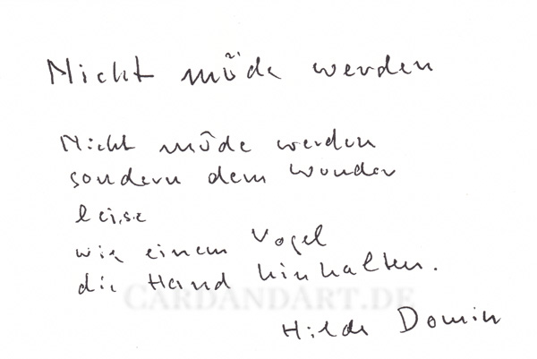 Domin Hilde: Nicht müde werden ... - Postkarte