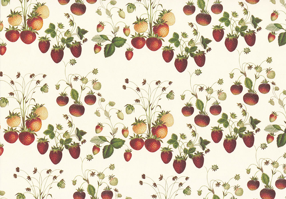 Erdbeeren-Geschenkpapier