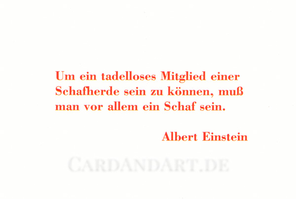 Albert-Einstein-tadelloses-Mitglied-Schafherde-Postkarte