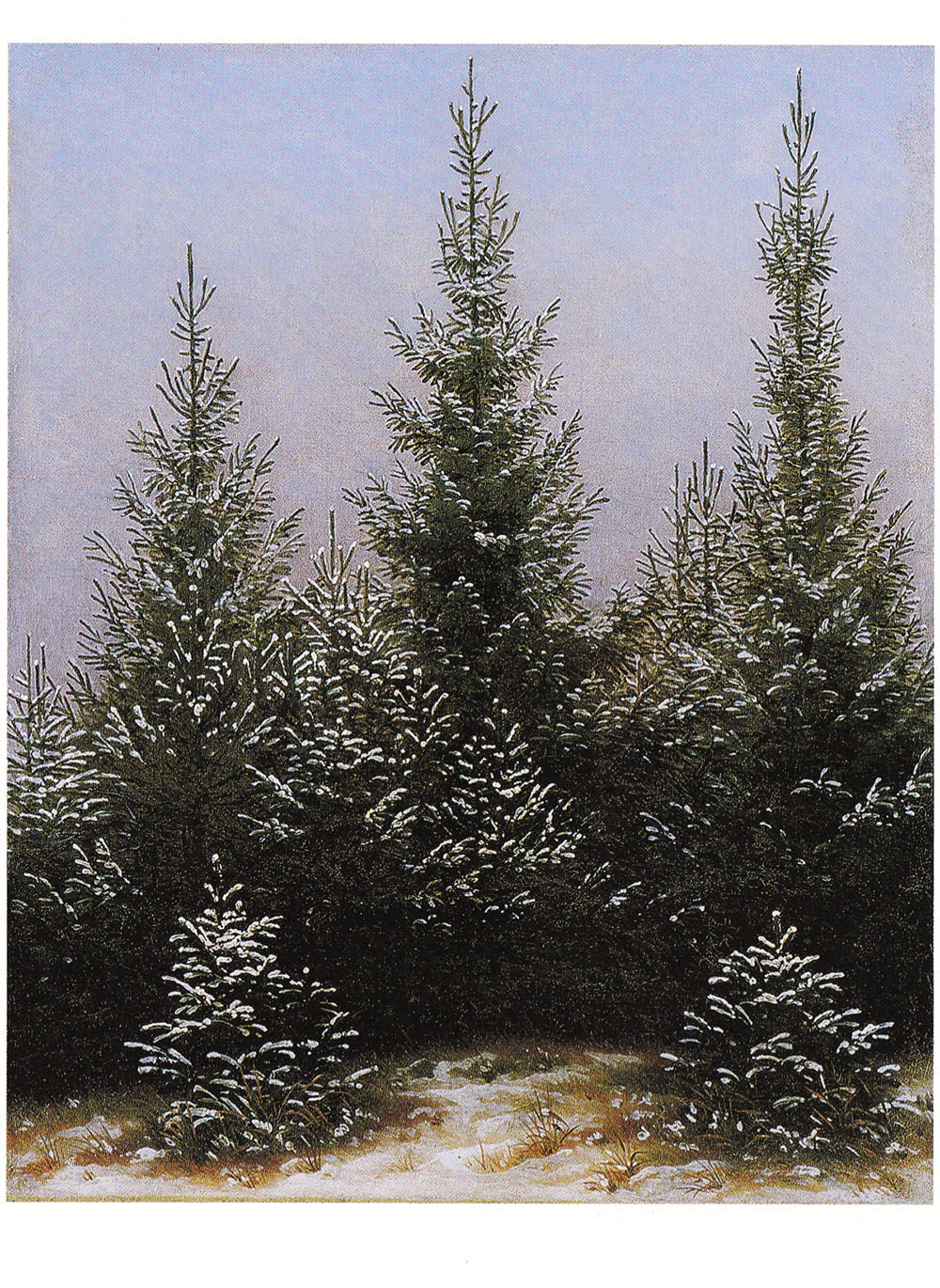 Caspar-D-Friedrich-Fichtendickicht-im-Schnee-Postkarte